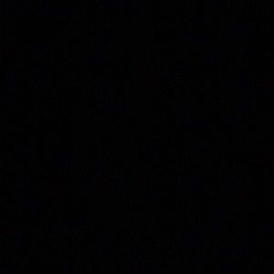 Meet your Posher, Royce